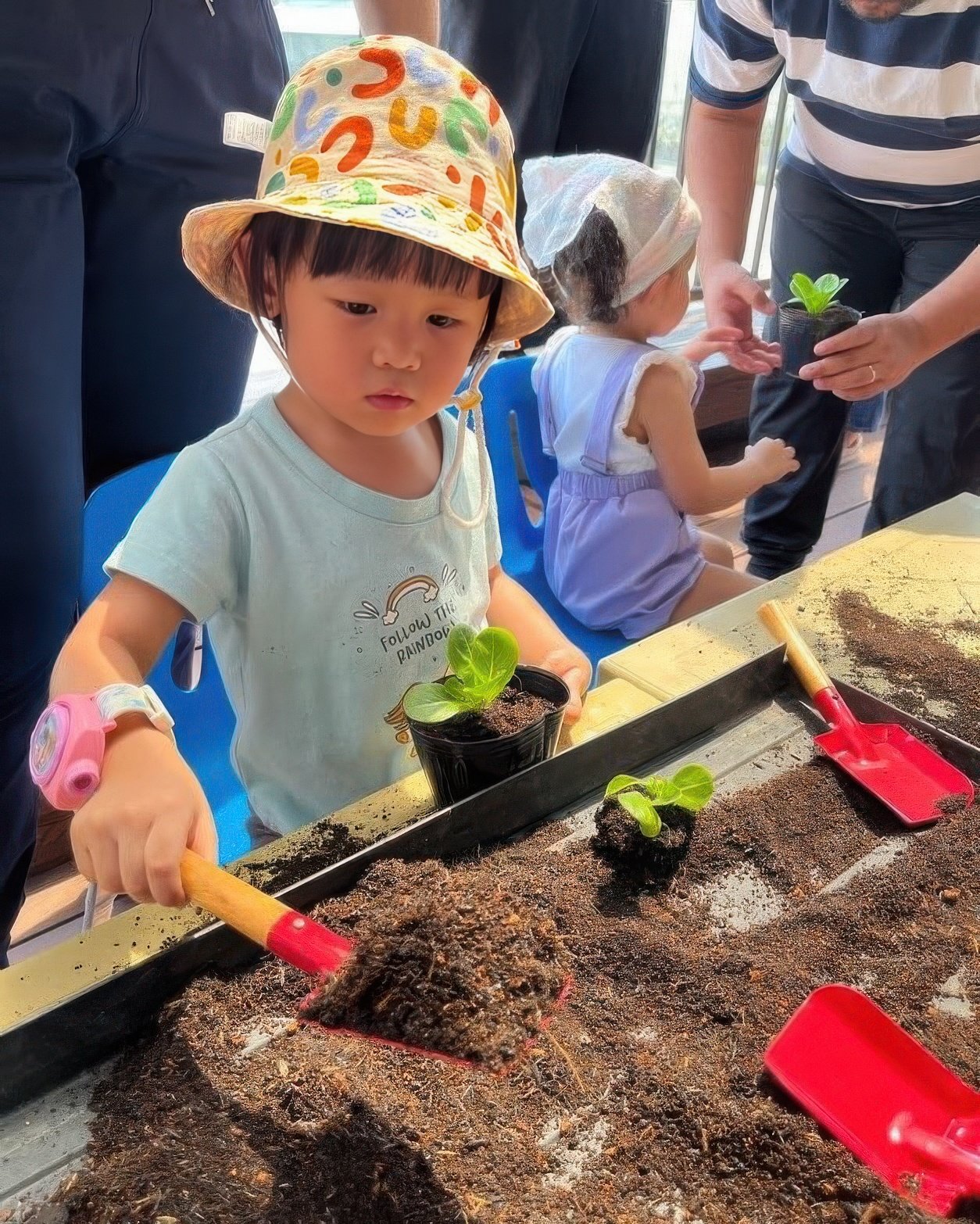 TinkerTots learning environment